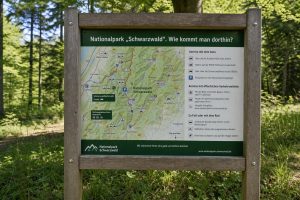 Nationalpark Schwarzwald erleben: So gelingt die Anreise ganz entspannt