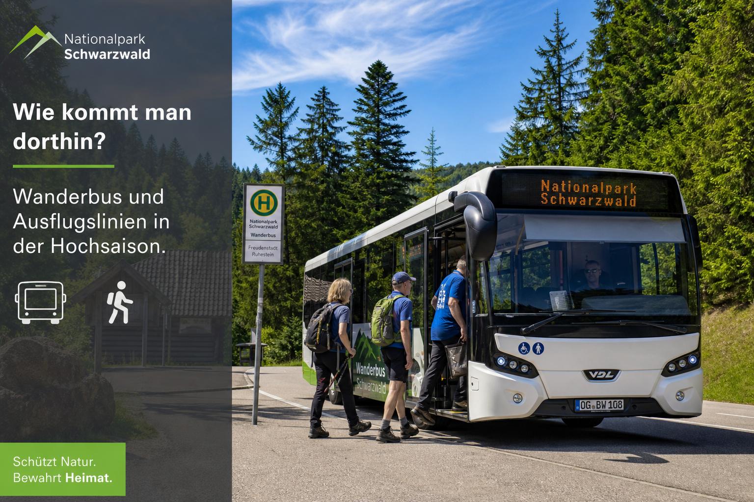 Nationalpark „Schwarzwald“. Wie kommt man dorthin? . Wanderbus und Ausflugslinien in der Hochsaison